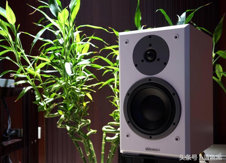 就是爱音乐视频,就是爱音乐