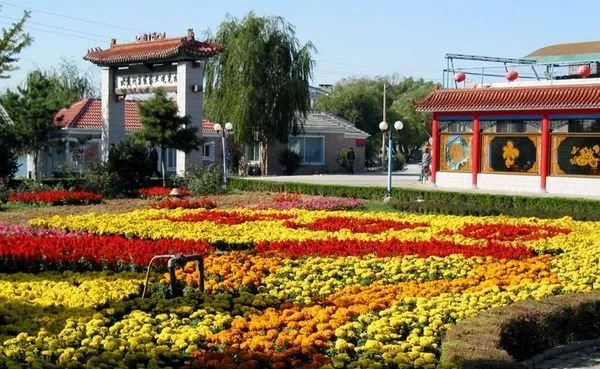 家有美景来欣赏何必外出看风景,家有美景何必远方