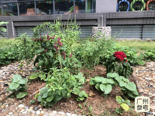 广州托儿所,羡慕能带孩子又能工作的宝妈