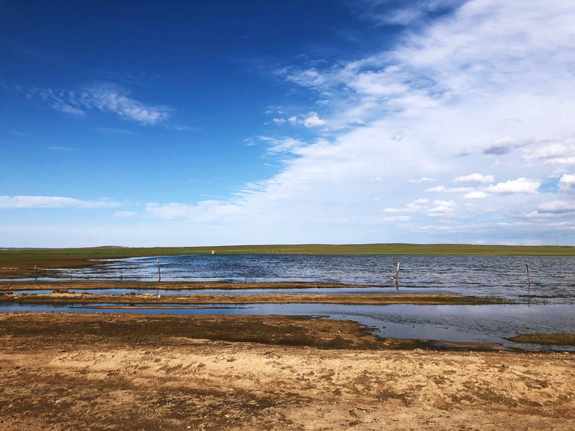 内蒙希拉穆仁草原好玩,包头希拉穆仁草原风景