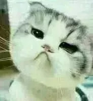 大连交管12123免检车申领检验标志,大连市交管通告