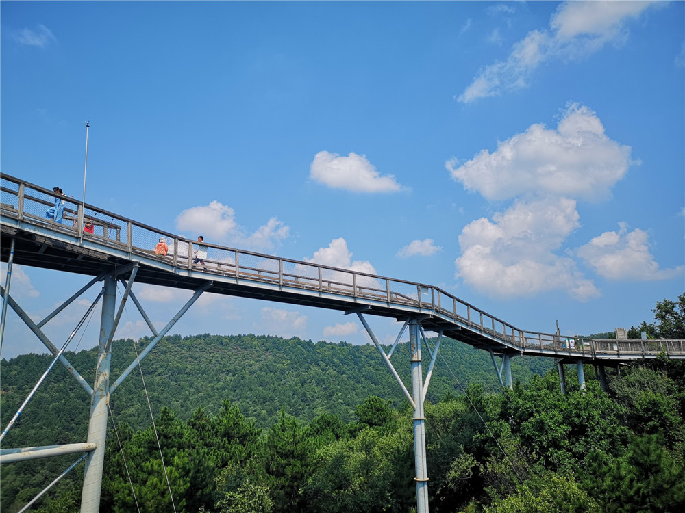 乐嘉如何了解孩子的性格,乐嘉性格色彩判断孩子性格