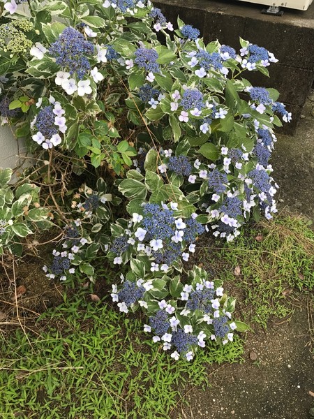 少女心必去的地方,少女心旅游必去的地方