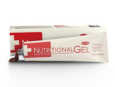 宠物换毛期怎么居家清洗,小型犬几个月开始换毛