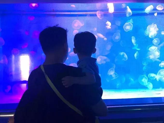 厦门亲子游的全套攻略,厦门亲子游攻略3岁最佳方案