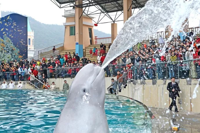 过生日去吃什么有优惠,上海过生日优惠攻略