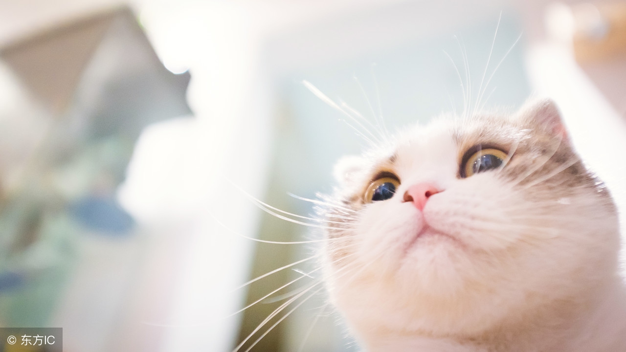 在面试的时候如何自我介绍模板,面试如何自我介绍模板干货