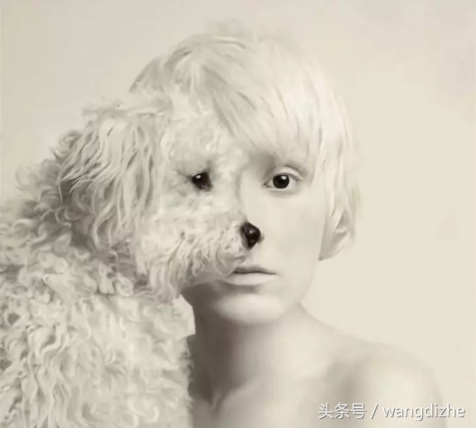 对投资的理解和感悟,对投资现状的一些思考和规划