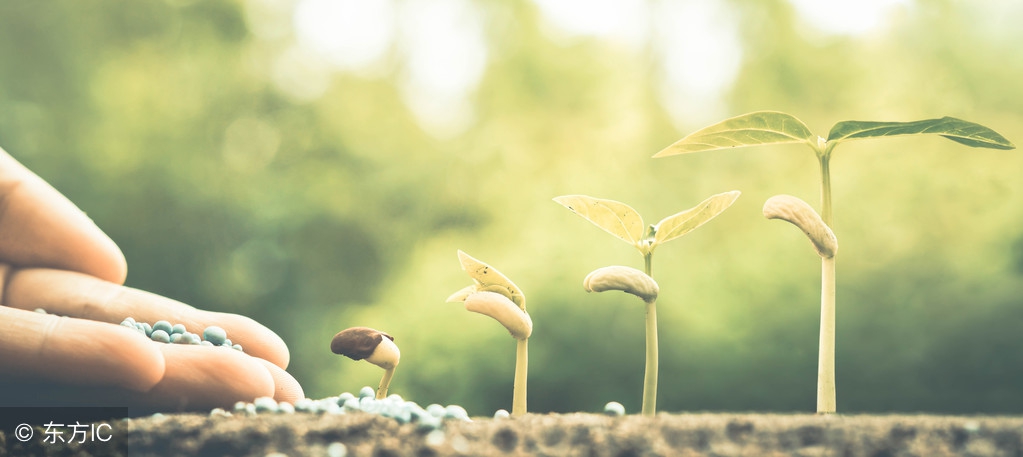 也许那扇门重来没有被封死，只是需要你更加努力的去打开！