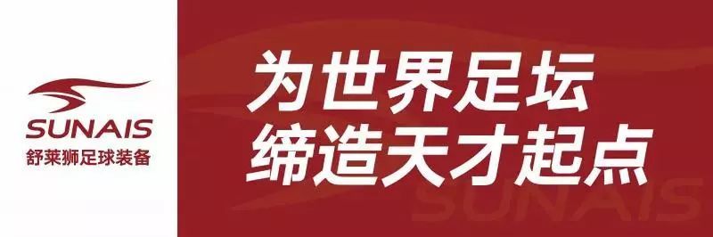 舒莱狮多功能训练袜,舒莱狮防菌袜怎么样