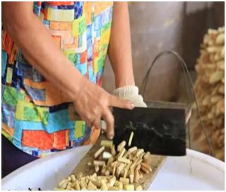 芋苗特色小吃,广西芋苗正宗做法