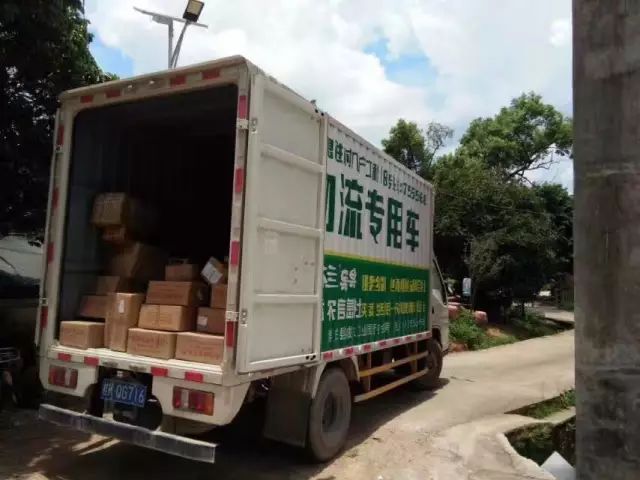 芋苗特色小吃,广西芋苗正宗做法