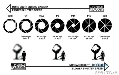 手抖拍出了朦胧感,手抖拍摄模糊怎么回事