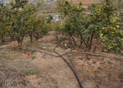 瑗挎簮姹囩殑鍒涗笟椤圭洰,瑗挎簮姹囧垱涓氬ソ椤圭洰