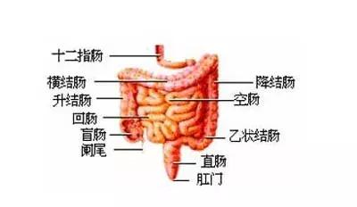 实习医生日记：拉肚子居然要住院，有这么严重吗？