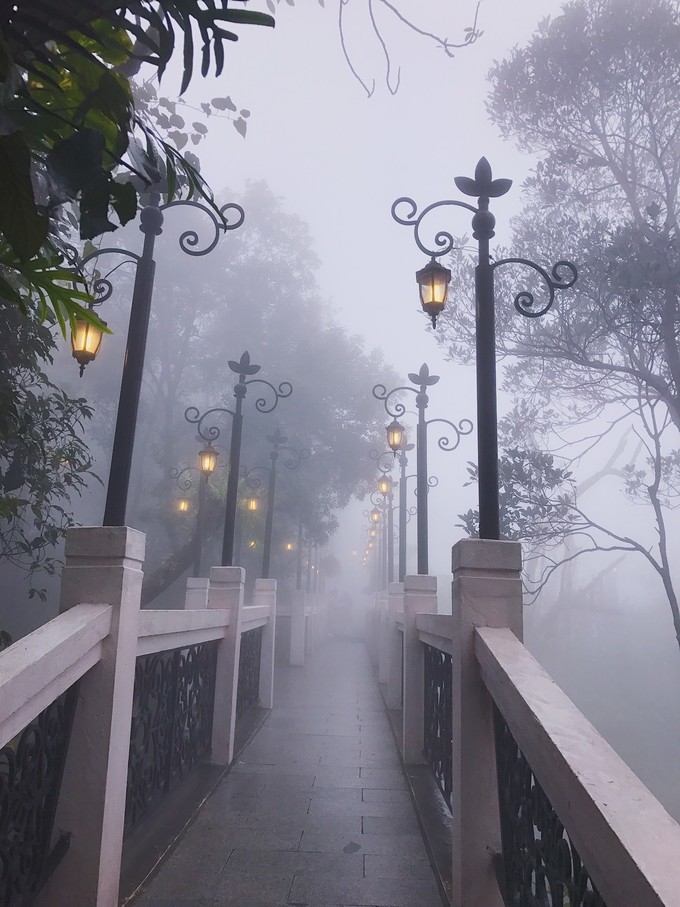 越南由南到北旅游方式,5000元越南8天7晚旅行全攻略