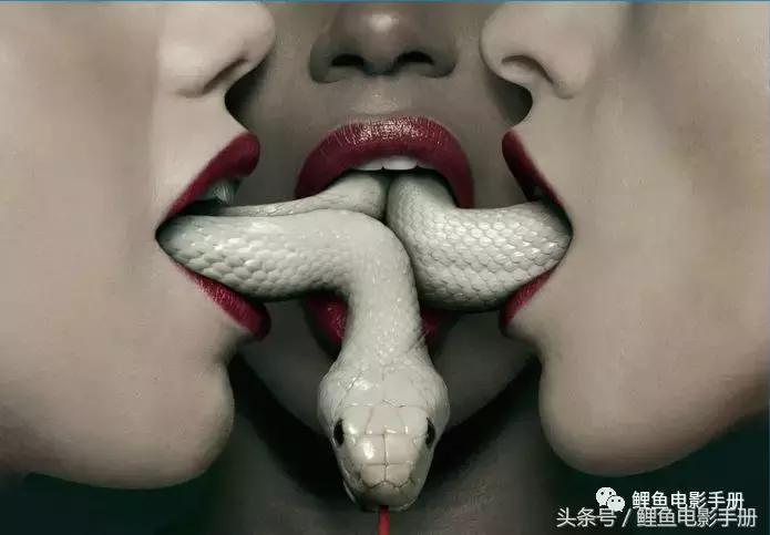 恐怖片僵尸吸血鬼,吸血鬼僵尸恐怖电影