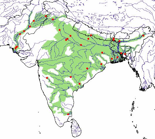 科普龟类知识视频展示,所有龟鳖类动物