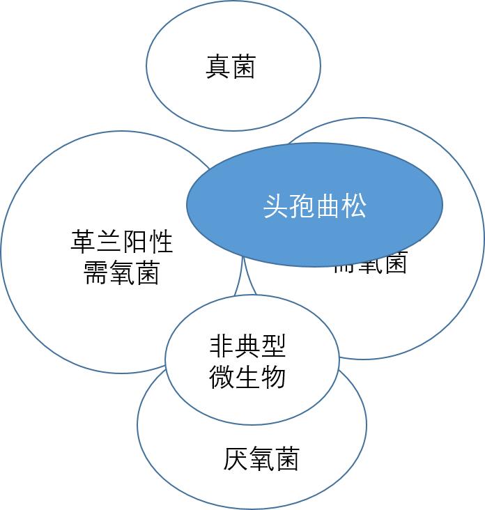 口服阿莫西林罗红霉素头孢克肟,头孢青霉素阿莫西林罗红霉素区别
