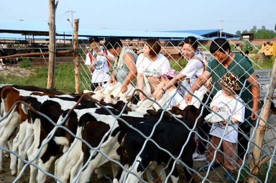 喜讯连连再创佳绩,宜信宜农贷公益项目