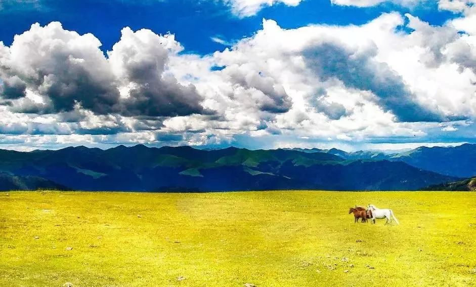 老子不上班请假去稻城,9月不上班了句子