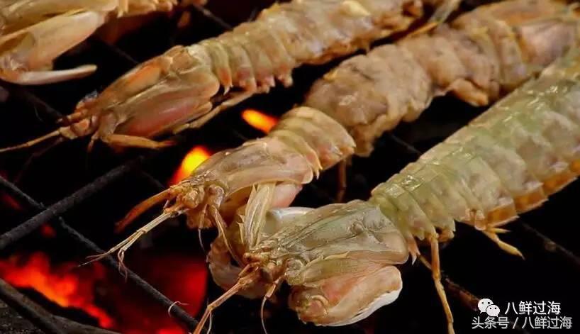 比手臂还大的皮皮虾吃起来超过瘾,比手臂还粗的皮皮虾你吃过了吗