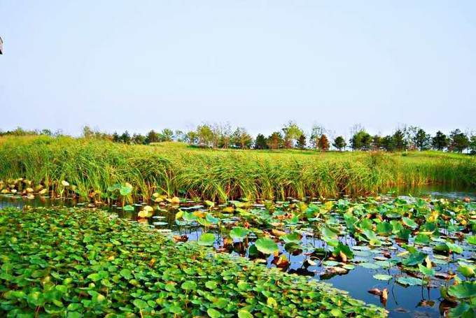 秦皇岛南戴河遛娃好去处,秦皇岛北戴河南戴河亲子游