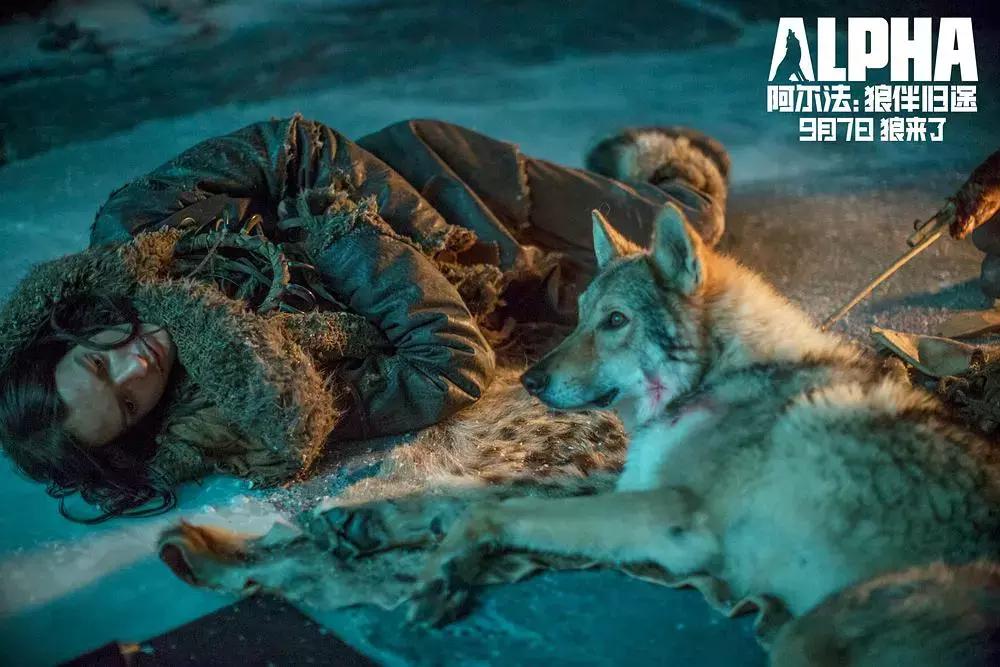 九月上映的电影哪些值得看,九月新片电影推荐