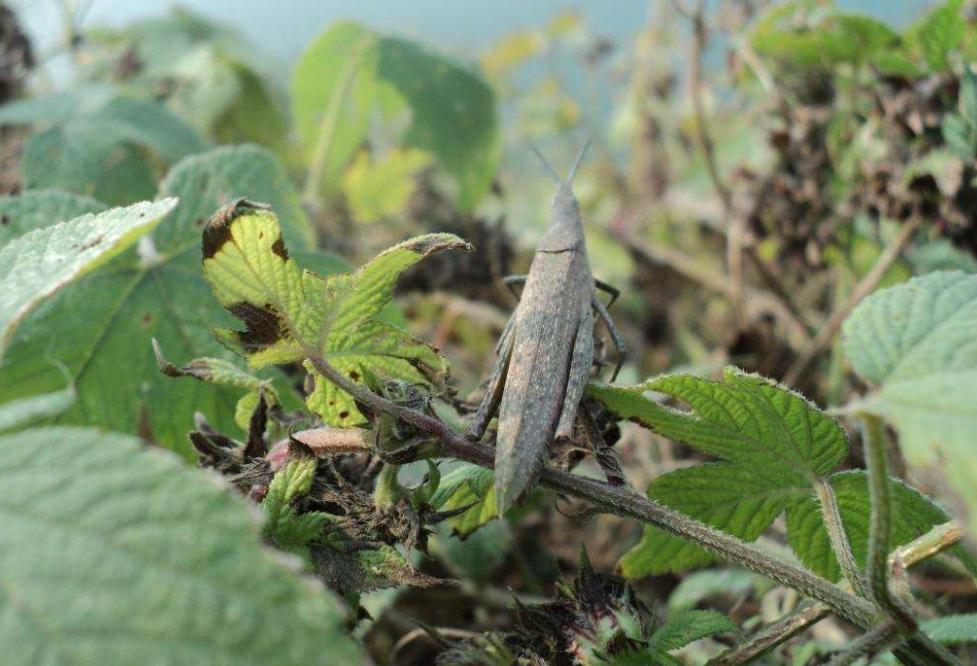 子线太长改短教学,长时间不上鱼用加快节奏吗