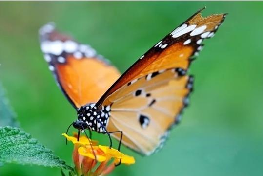 绵阳安州一日游最佳攻略,绵阳安州方向游玩推荐