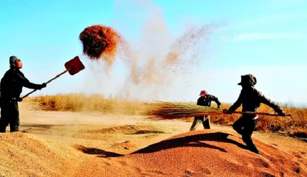 好消息！黄金周火车票明起开卖、这些家庭租房有补贴、驾驶证省内异地申领，还有超多假期！