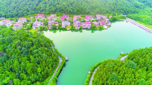 浙江德清乡村振兴规划,改革创新乡村振兴