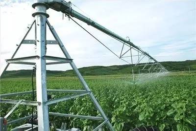 国家扶持的农村创业好项目2018,2023国家扶持农村致富项目有哪些