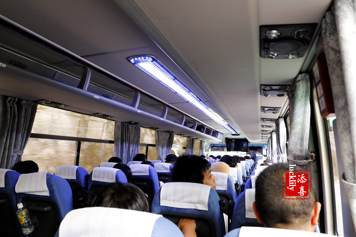 丽星邮轮日本游攻略视频,旅游攻略日本邮轮星梦号