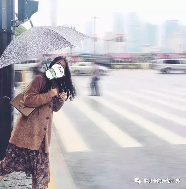 如果这辈子只能选3辆车你选哪3辆,假如这辈子只能买一只包