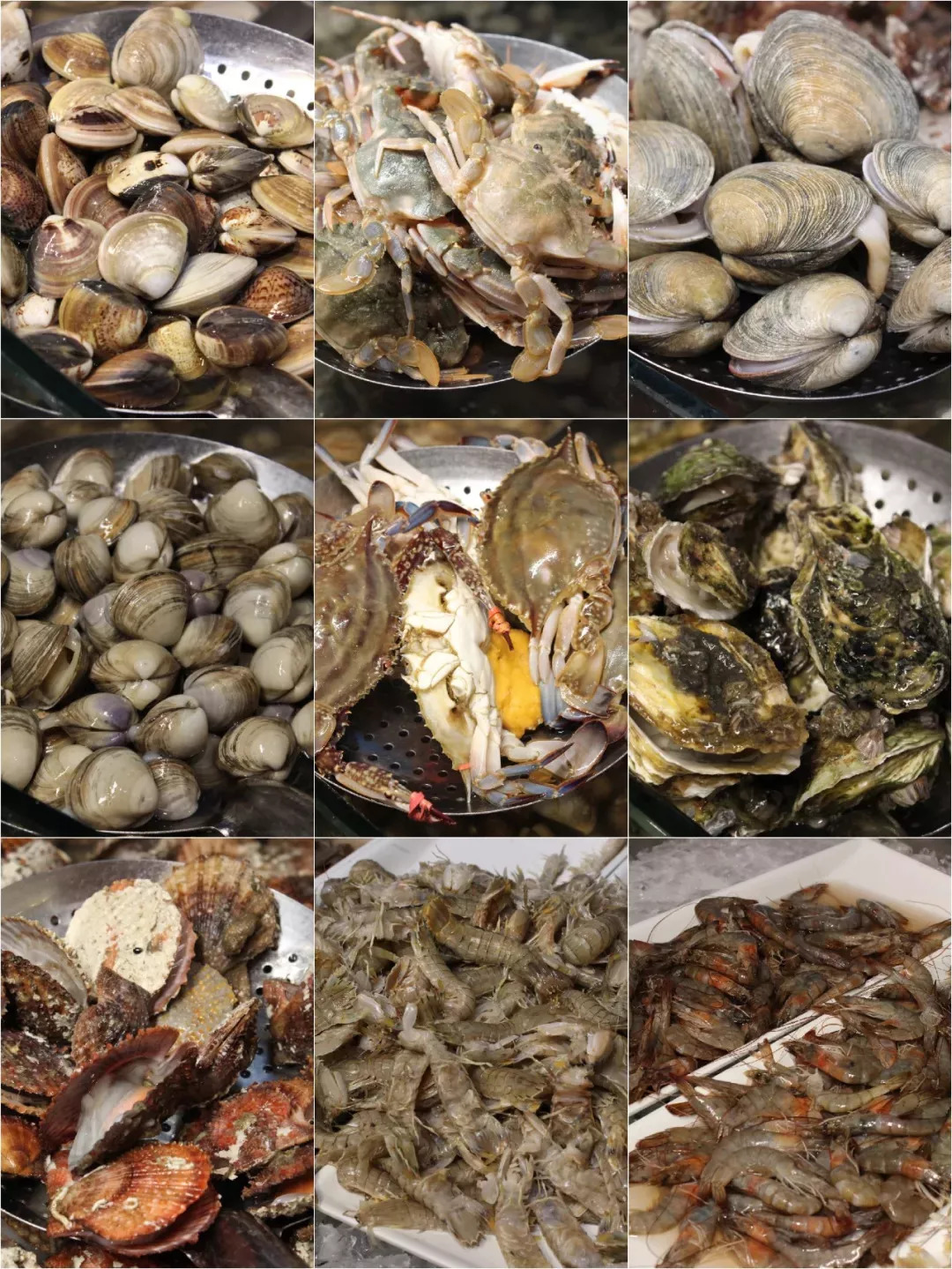 长春好吃的生蚝店推荐,长春88元螃蟹生蚝