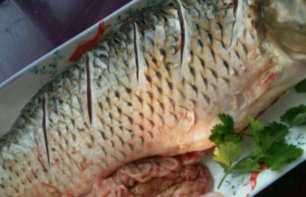 家常炖鲫鱼简单又好吃,家常炖鲫鱼最正宗的做法