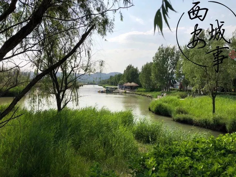 渭南合阳暴雪,渭南合阳中学