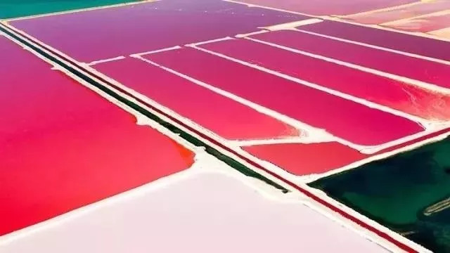 万事屋推荐｜十二星座，这里有一份待查收的粉色包裹