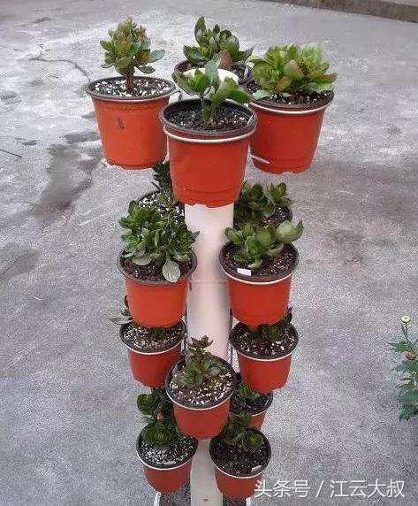 自制户外花架100种图片,自制多肉花架最简单的方法