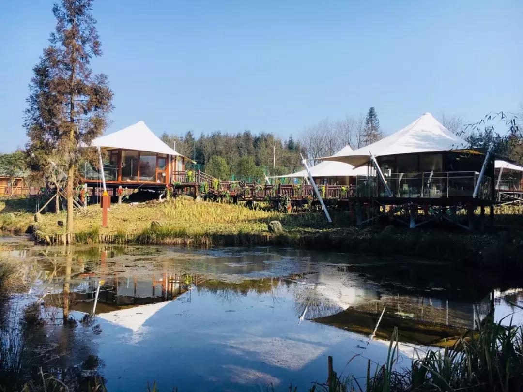 鍥涘窛楂橀搧鐩磋揪宸濊タ鏃呮父鏅偣,鎴愰兘2.5灏忔椂鐩磋揪鍘熷妫灄