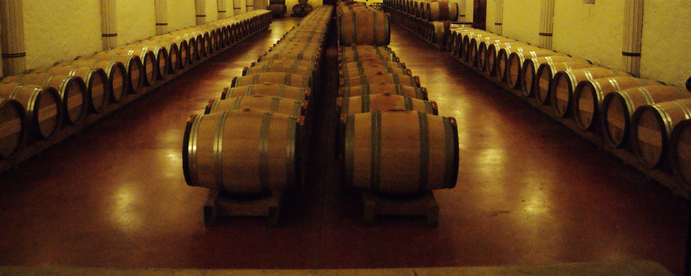 凯瑟王国际酒庄品鉴会,凯瑟王红酒大瓶