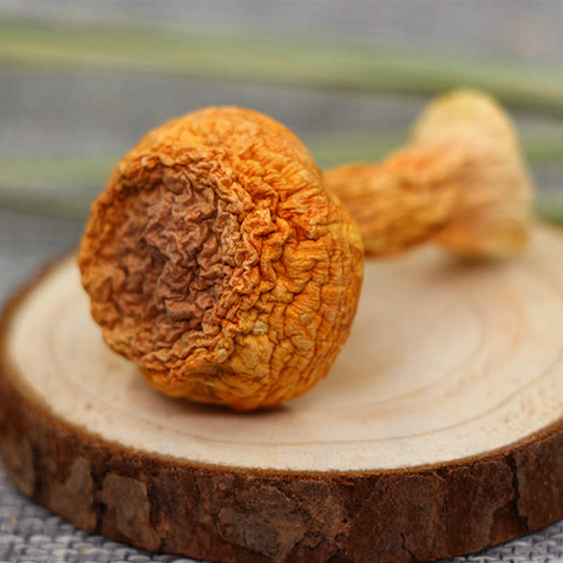 食代滋味带你了解-神秘的姬松茸