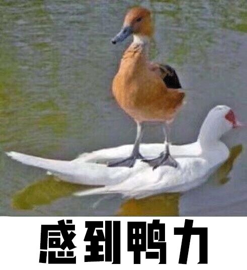 我保证！看完我司员工的鞋，你们再也不会嘲笑我了