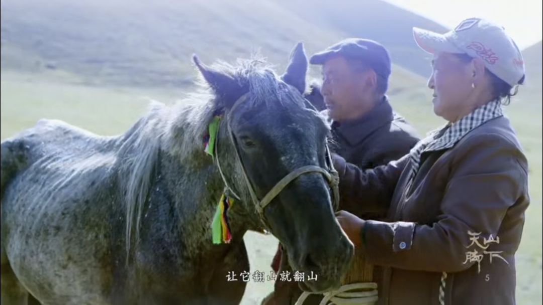 忘记那些不堪回首的人和事,忘记那些心酸的往事