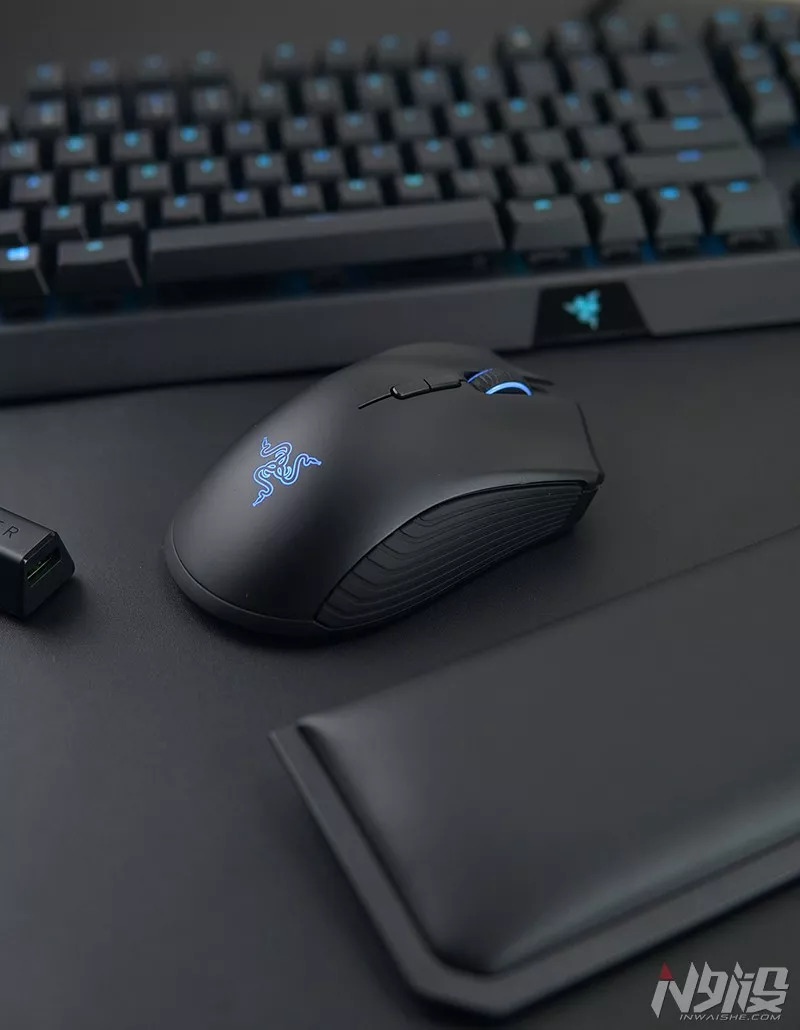 雷蛇曼巴眼镜蛇鼠标偶尔失灵,雷蛇曼巴眼镜蛇无线版用什么微动