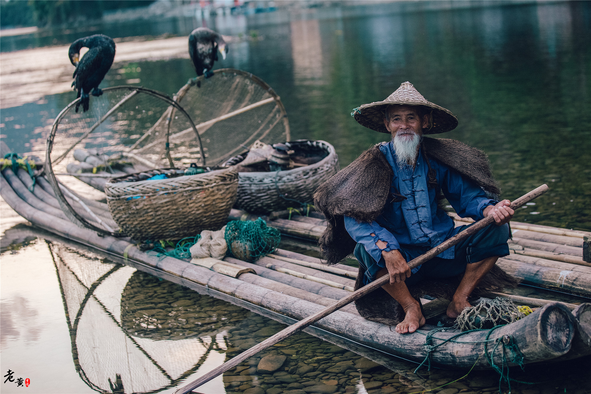 阳朔体验鱼鹰捕鱼,兴坪一日游之鸬鹚捕鱼记