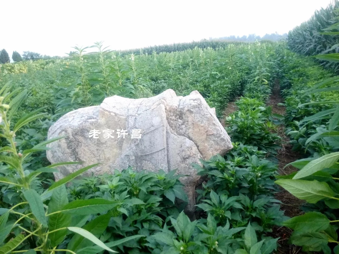 唐太宗李世民为何亲自为襄城县此村赐名？