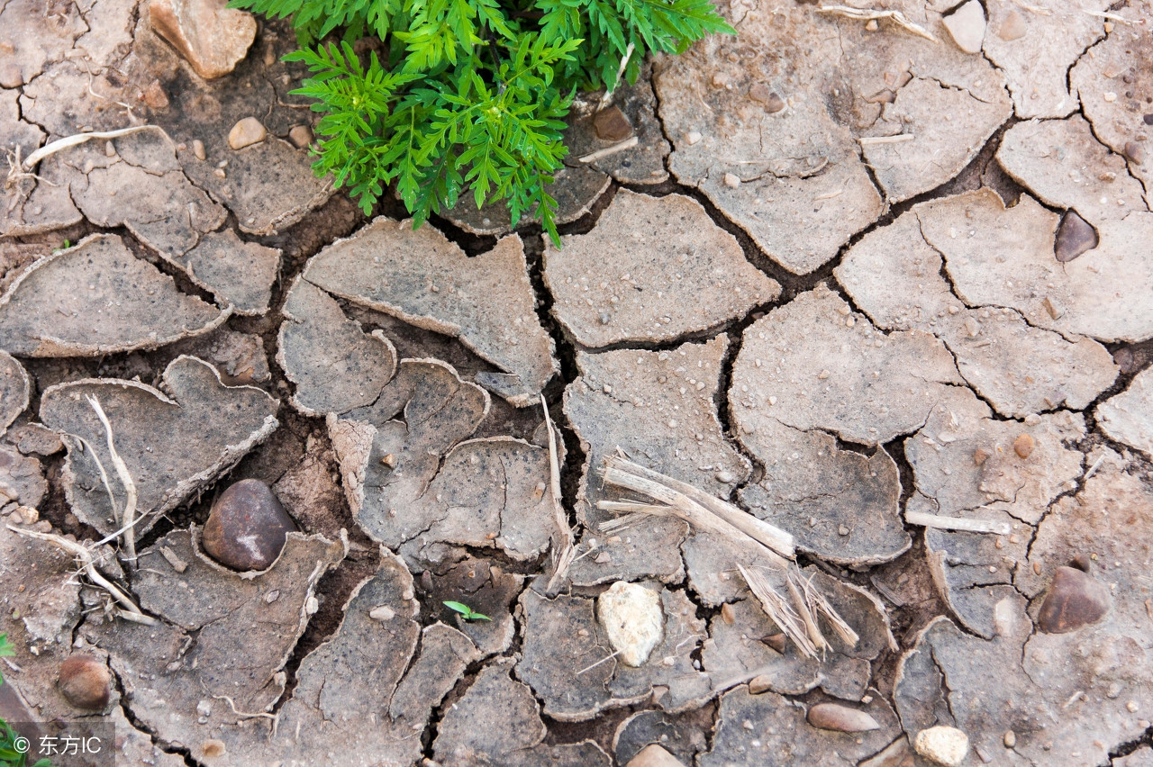 身体缺水会引起什么状况,身体缺水会出现哪些问题