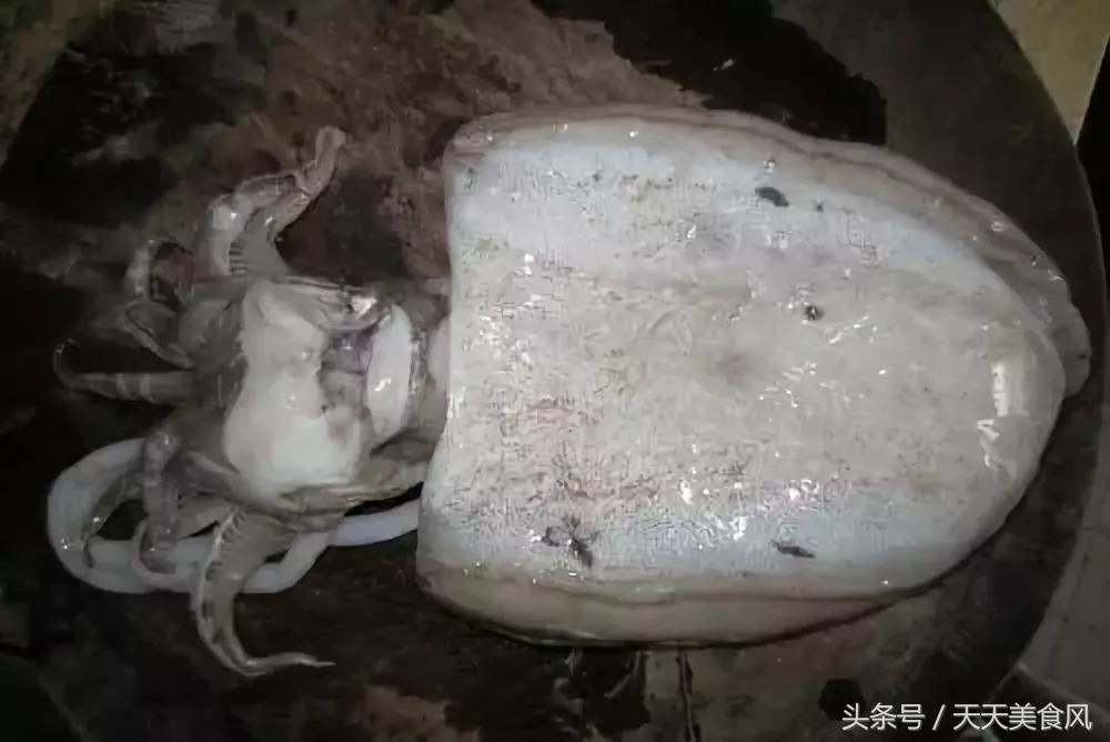 怎样选择海鲜的正确方法,海鲜如何清洗比较干净又好吃